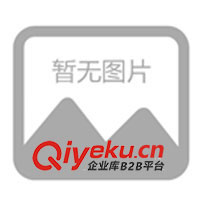 供應(yīng)上海到廣西廉江市海運(yùn)集裝箱物流貨運(yùn)代理(圖)